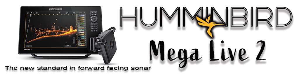 MEGA LIVE 2