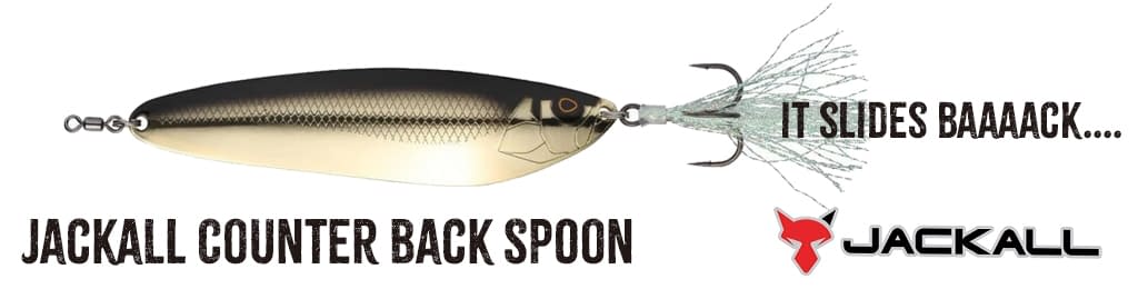 JACKALL COUNTER BACK SPOON
