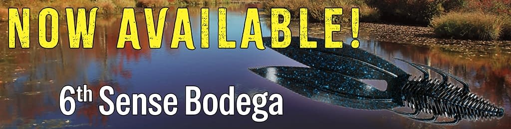 6TH SENSE BODEGA