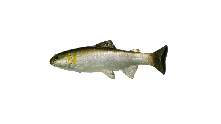 Huddleston Deluxe 8 Inch Trout - AYU