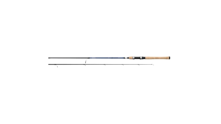 Daiwa Aird Coastal Inshore Spinning Rod