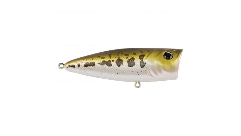 Berkley Choppo, MF Shad