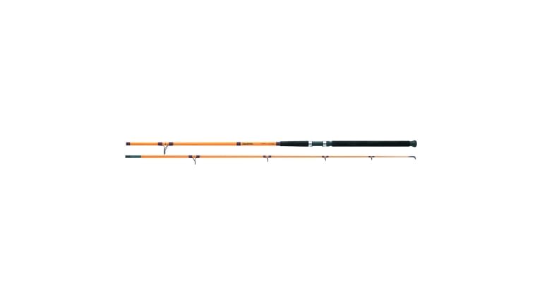 FT Surf Spinning Rod - 10' Length, 2 Piece Rod, 10-20 lb Line Rating, Mediu Power, Fast Action