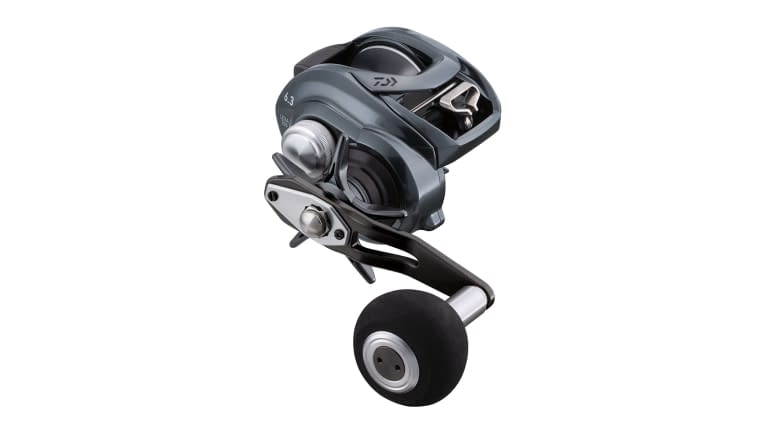 Daiwa Lexa tw Baitcasting Reel LX-TW300HL-P