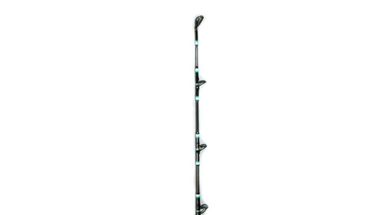 Calstar Grafighter Live Bait Rod - DSCI0186-Small copy