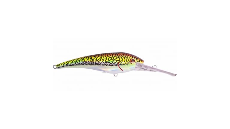 Nomad DTX Minnow  Fisherman's Warehouse