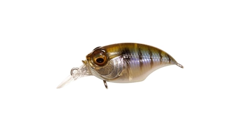 Megabass Griffon SR-X (BFS) - 2381