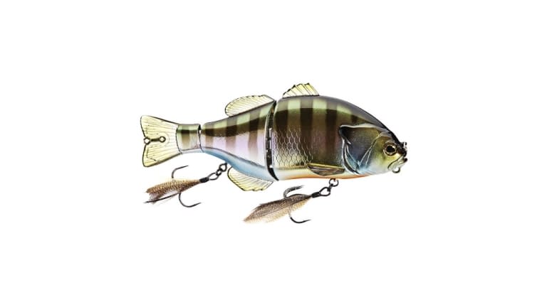 TN65 | HL BLUE GILL