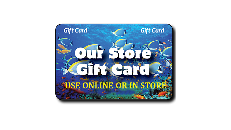 Store Wide Gift Cards