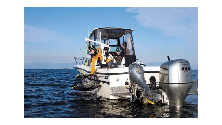 Ace Line Hauler Crab Pot Puller - listing4447_water_b.5bacbd86c07f0