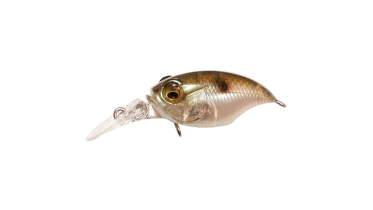 Megabass Griffon MR-X (BFS) - 2388