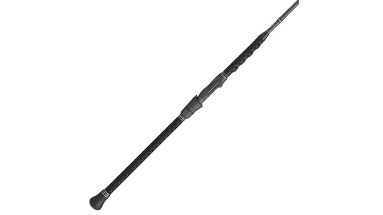 PENN Carnage III Surf Spinning Rods
