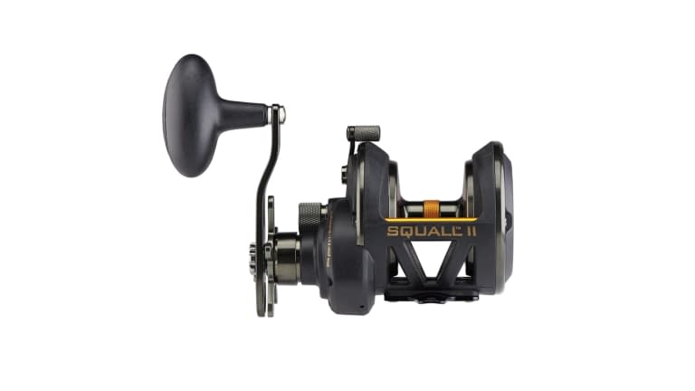 Penn Fathom II Star Drag Reel