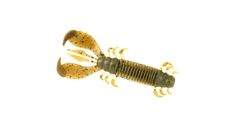 Deps MS Craw - 12