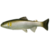 Huddleston Deluxe 8 Inch Trout - Style: AYU