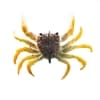 Chasebaits Crusty Crab - Style: 16