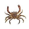 Chasebaits Crusty Crab - Style: 20