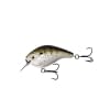13 Fishing Scamp - Style: LF