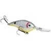 Strike King Pro Model 6XD Crankbait - Style: 570