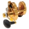 Penn Torque Lever Drag 2 Speed Reel - Style: G