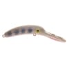Worden's Mag Lip - Style: SHP