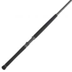 Penn Fishing Penn Prevail II Surf Spinning Rod, 2 Piece, Medium