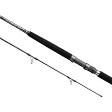 Daiwa Beefstick BT Saltwater Boat Rod