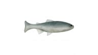 Anglers King Sugar Shaker Trout - SS575JR-043 - Thumbnail