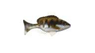 Sudden Impact Sunfish / Perch - 140 - Thumbnail