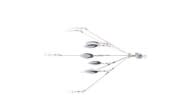 Coolbaits 5-Wire A-Rig - Thumbnail