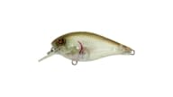 River2Sea Ish Monroe Biggie Poppa Crankbait - IM-BEPA67BR/32 - Thumbnail