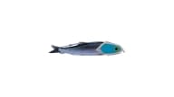 Shelton Franko Bullet Rotator (FBR)