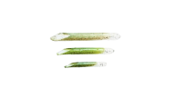Hookup Baits Replacement Bodies - SGS - Thumbnail