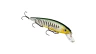 Strike King KVD Jerkbait - 464 - Thumbnail