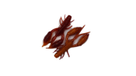 Geecrack Bellows Craw - LVSF - Thumbnail