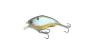 Nishine Chippawa RB - BPB - Thumbnail