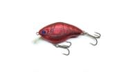 Nishine Chippawa RB - SCF - Thumbnail