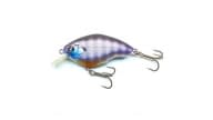 Nishine Chippawa RB - BG - Thumbnail