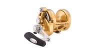 Penn International VISX Gold Reel - INT16VISX - Thumbnail