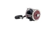 Penn Special Senator Star Drag Reel - Thumbnail