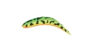 Worden's Flatfish F2 - FRT - Thumbnail