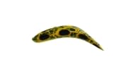 Worden's Flatfish F7 - FR - Thumbnail