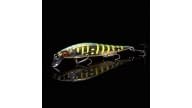 Megabass Vision Oneten Jr. - R4755 - Thumbnail