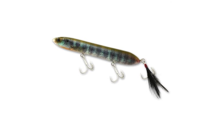 Deps Brachiostick - 05