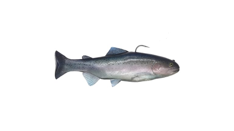 Huddleston Deluxe 10 Inch Trout - HO