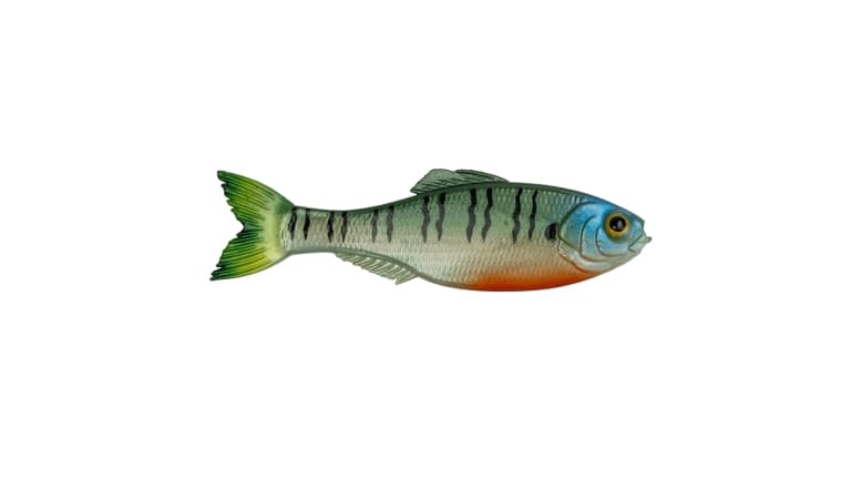 6th Sense Panorama - 4KBG