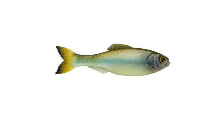 6th Sense Panorama - GM