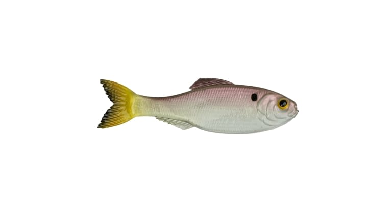 6th Sense Panorama - GPS