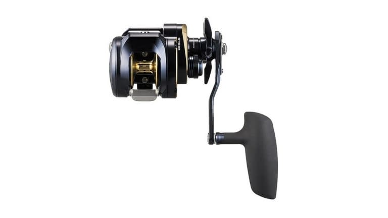 Daiwa Saltiga 300 Jigging Star Drag Reels - SAG300-topdown_900x-ezgif.com-webp-to-jpg-converter (1)