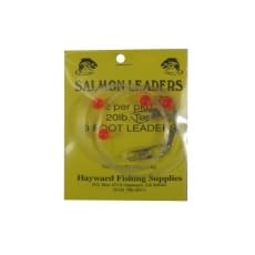 Hayward Salmon Leader